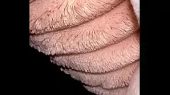 Monster Cock Man gruntownie zachwyca niebieskooki dzikus